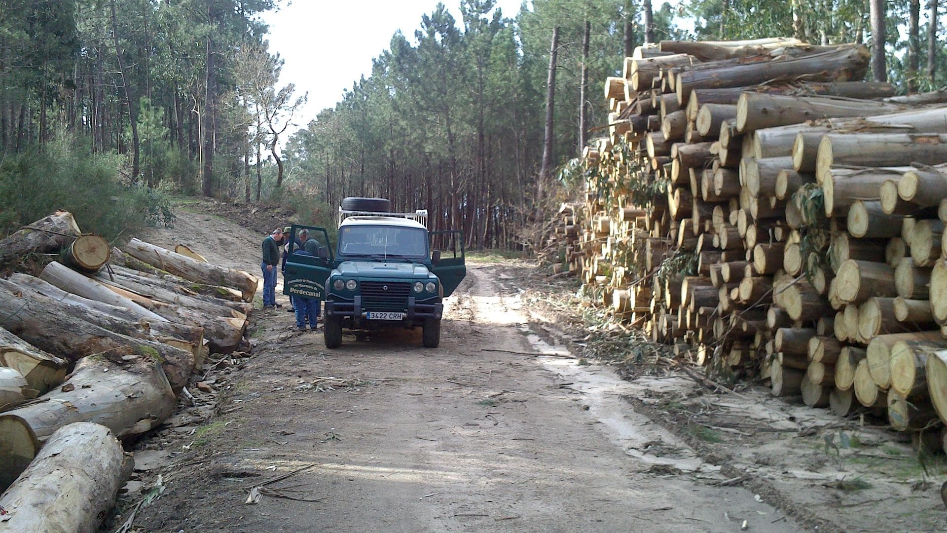 Subastas de madera